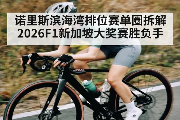 诺里斯滨海湾排位赛单圈拆解 2026F1新加坡大奖赛胜负手